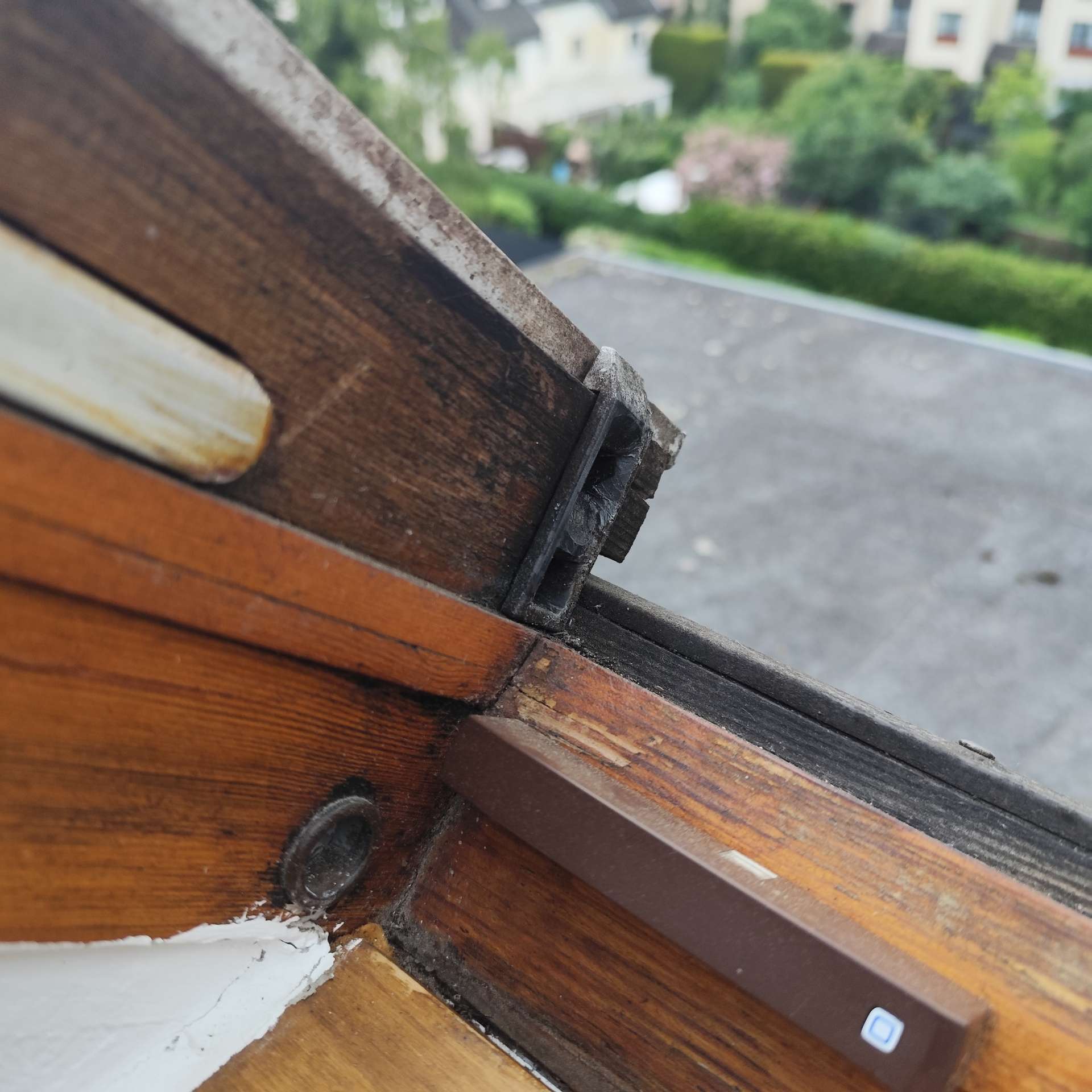 Fenster_Projekt-1