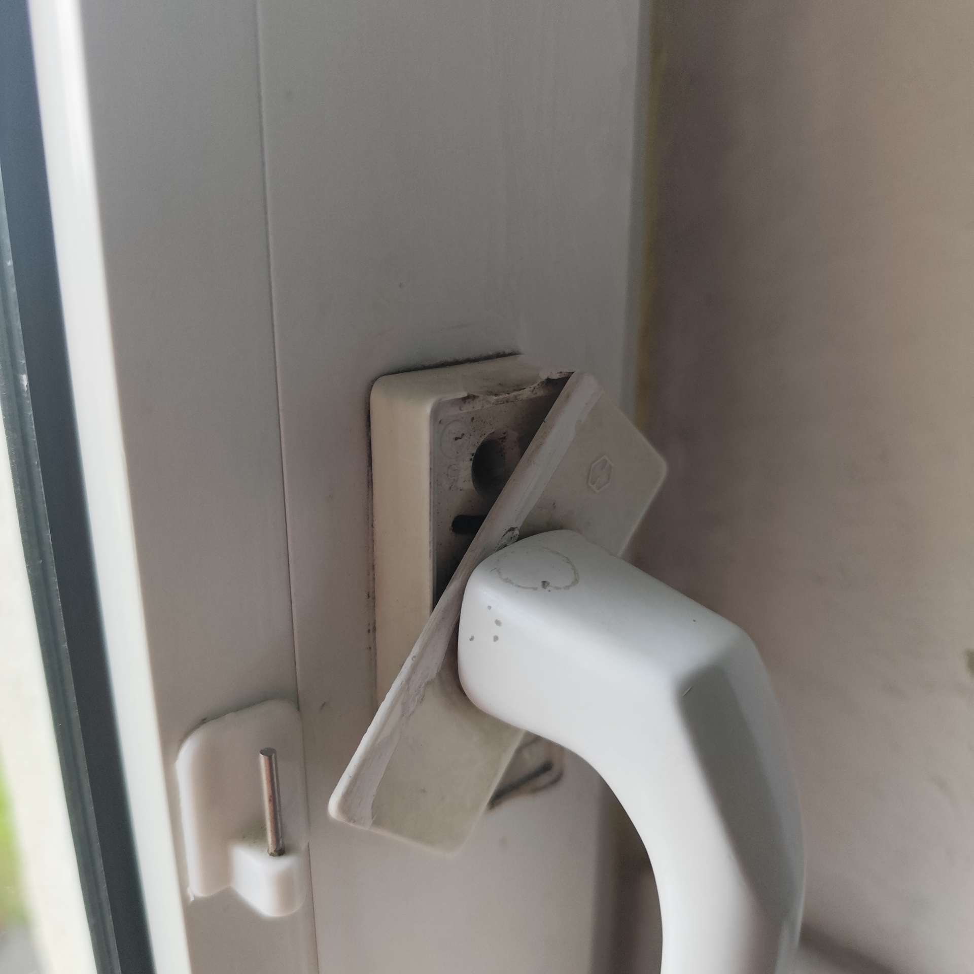 Fenster_Projekt-6-1